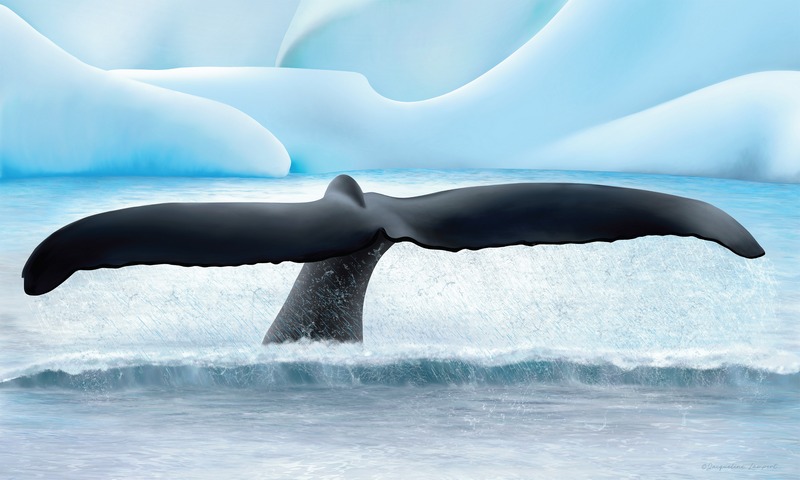 Seabourn Debuts Exclusive Polar-Inspired Collection by Pepparose – Cruise Industry News